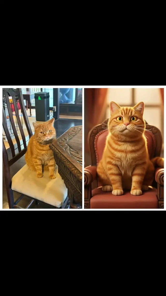 #美山カフェ #美山ランチ #古民家カフェ #美山カフェma...