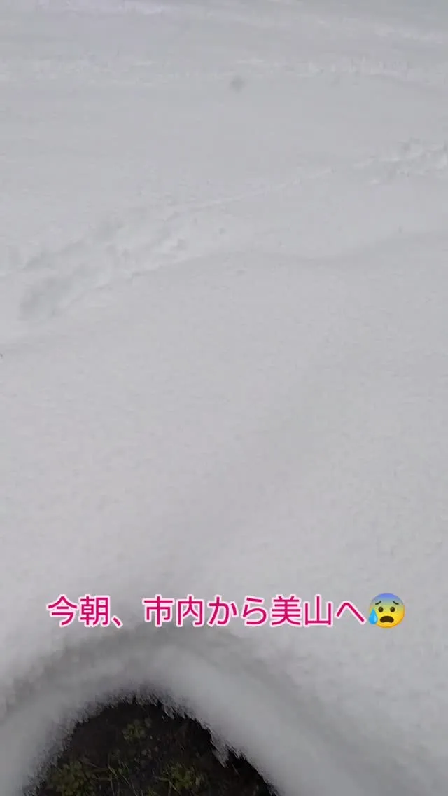今朝市内から安全運転で美山戻ってきた💦一晩で倍ほど雪積もって...