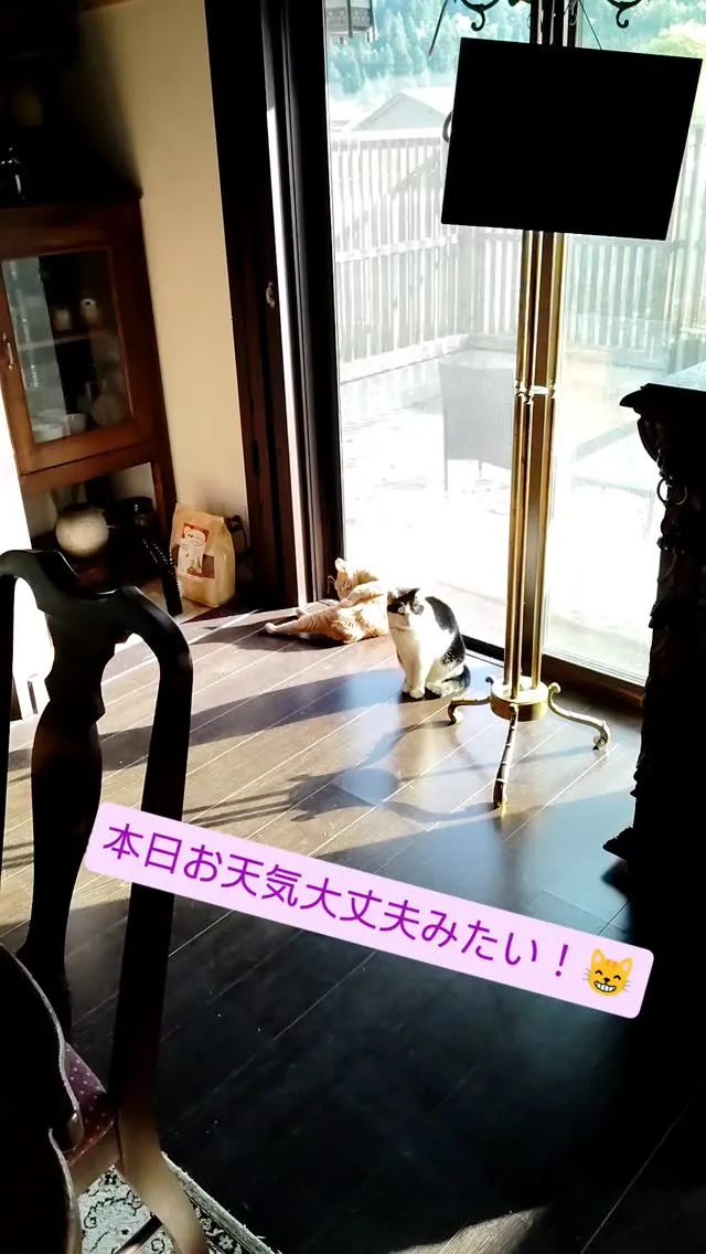 おはようございます。