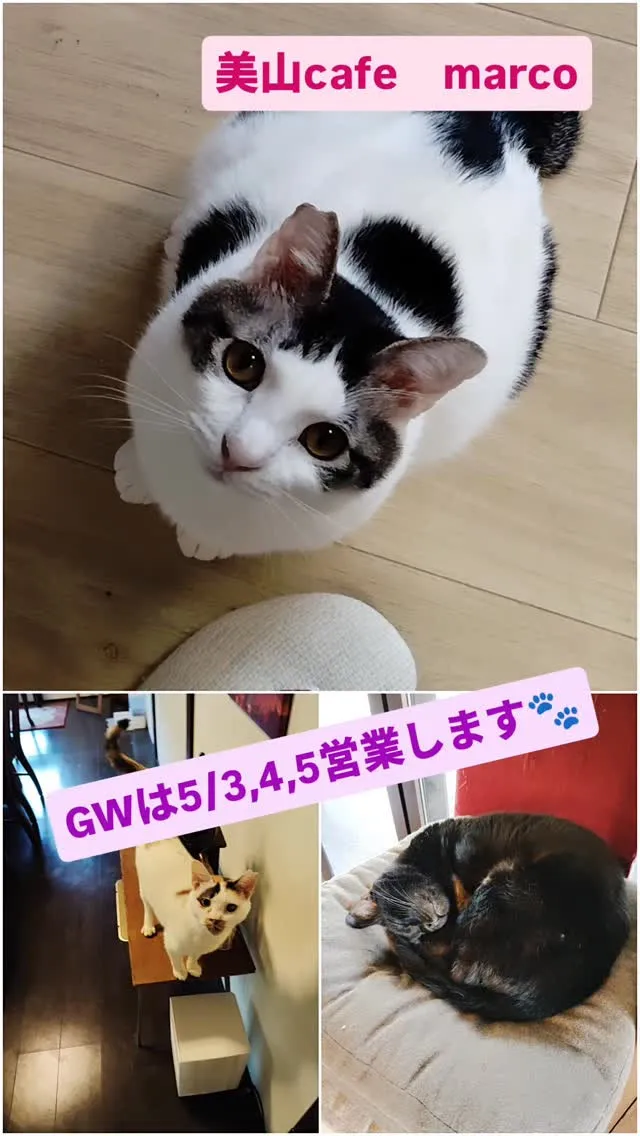GWの営業予定😺