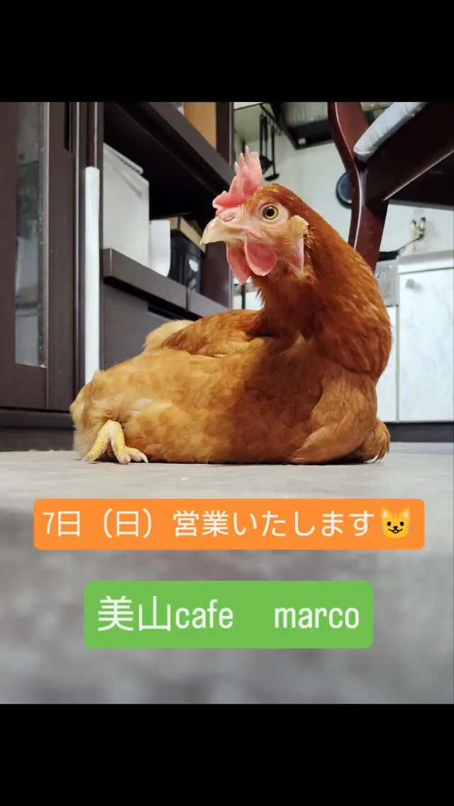 7日（日）通常営業いたします😺ご来店お待ちしております🙇#美...