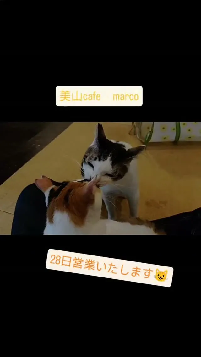 はなちゃん&ウシちゃん　28日は曇り予報です。