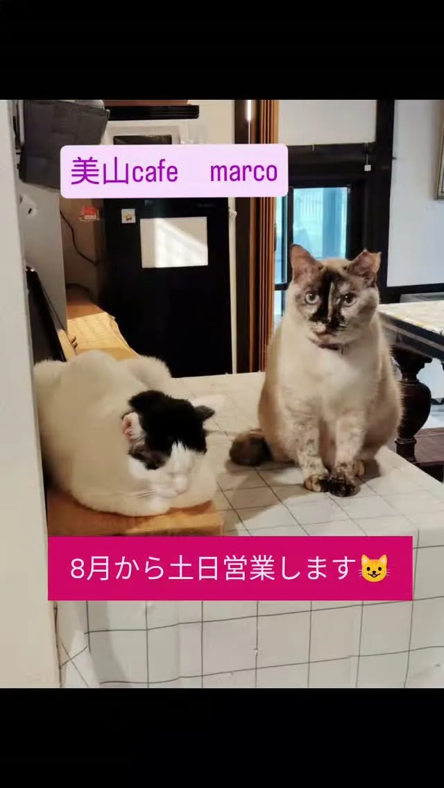 いつもありがとうございます。