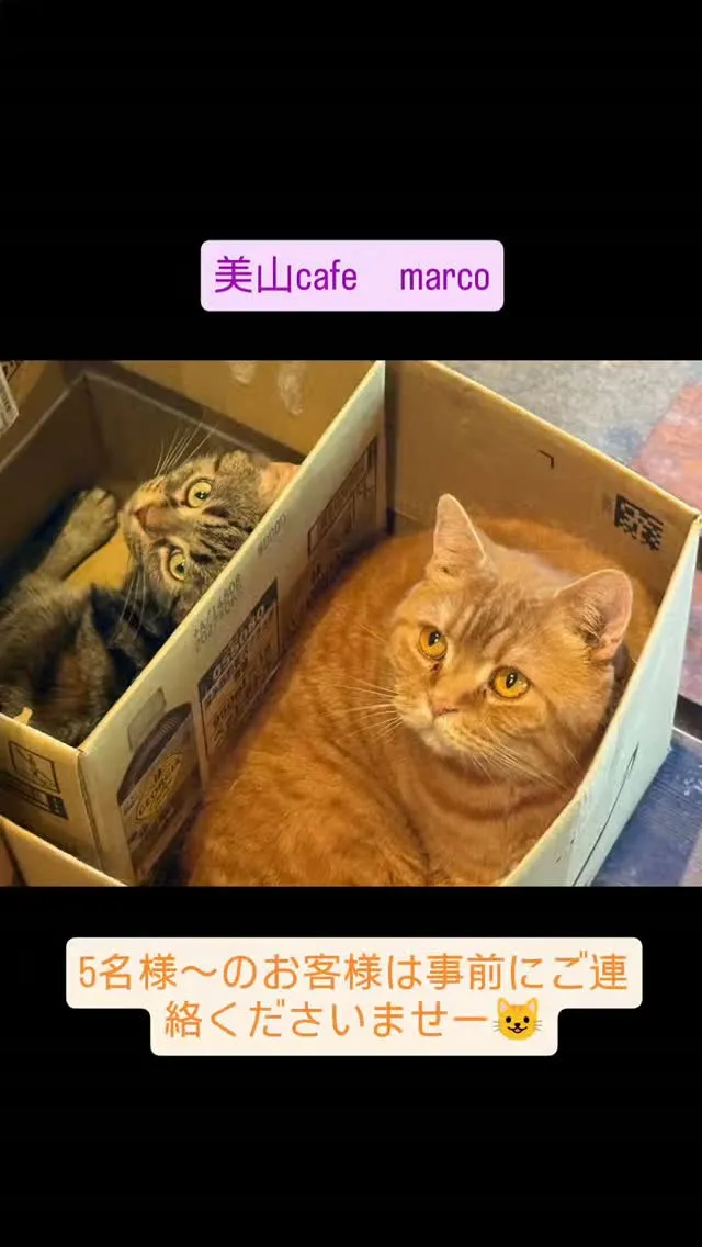 いつもご来店ありがとうございます。