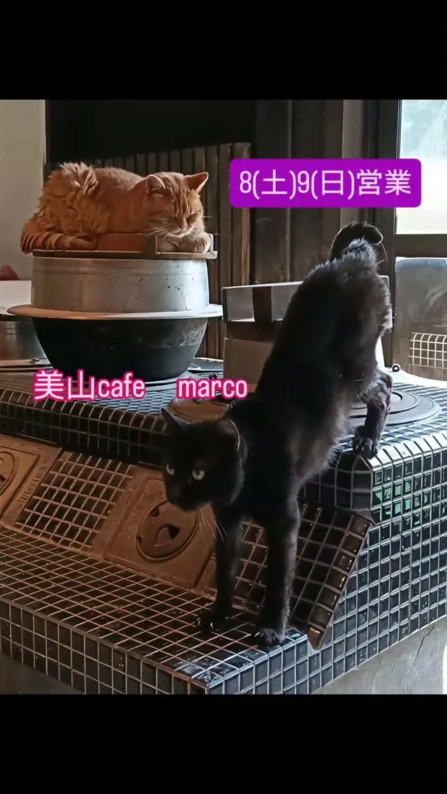 いつもご来店ありがとうございます😊今週末も張り切って営業いた...