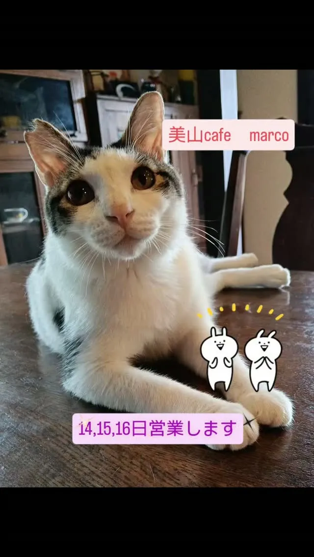 久々のケリーちゃん登場😃