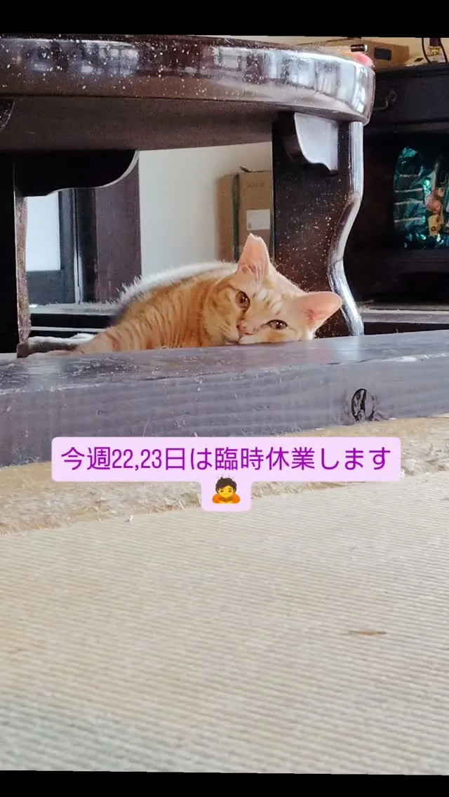 いつもご来店ありがとうございます🙇