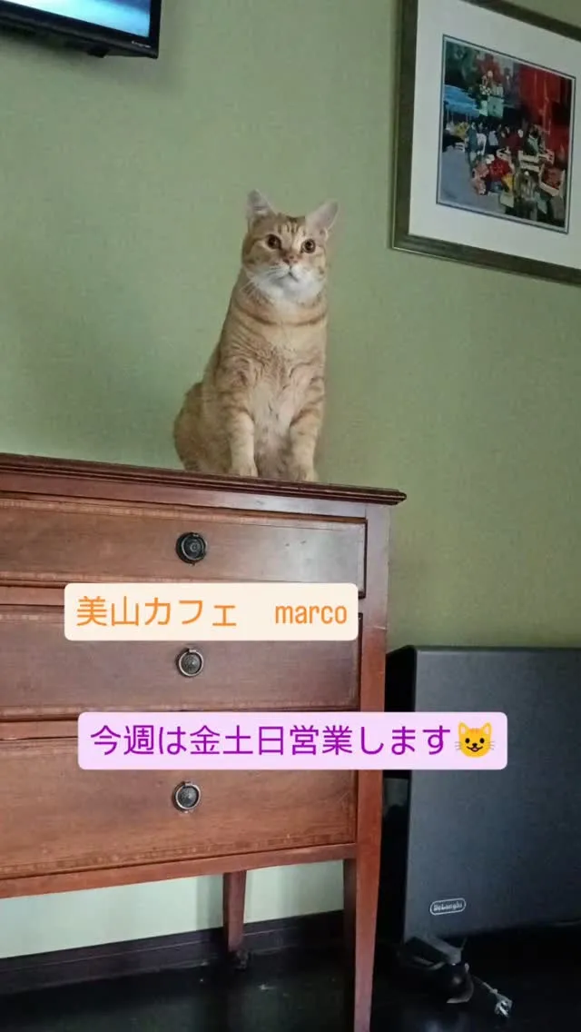 今週はまたまた暑い日続いてますねー😅早いもので8月最後の週末...
