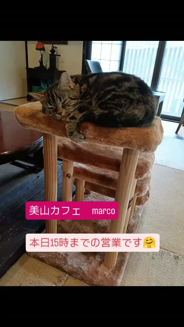 連休たくさんのお客様ご来店ありがとうございます。