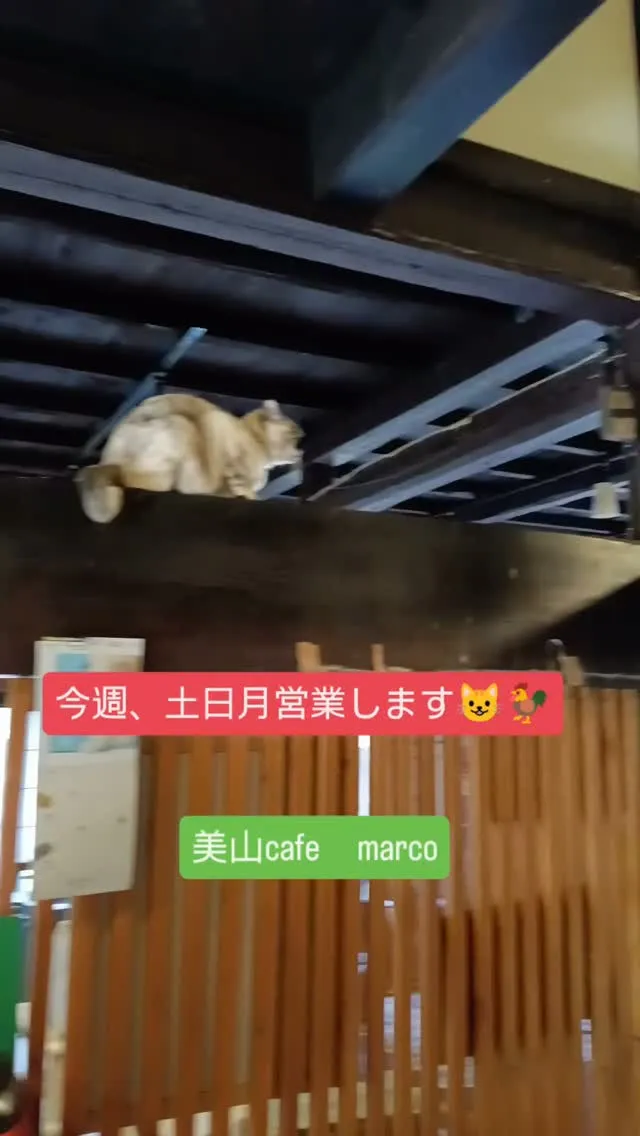 いつもありがとうございます。