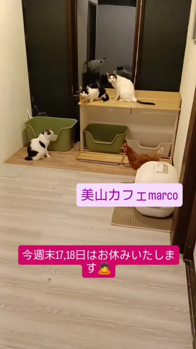 いつもご贔屓くださりありがとうございます。