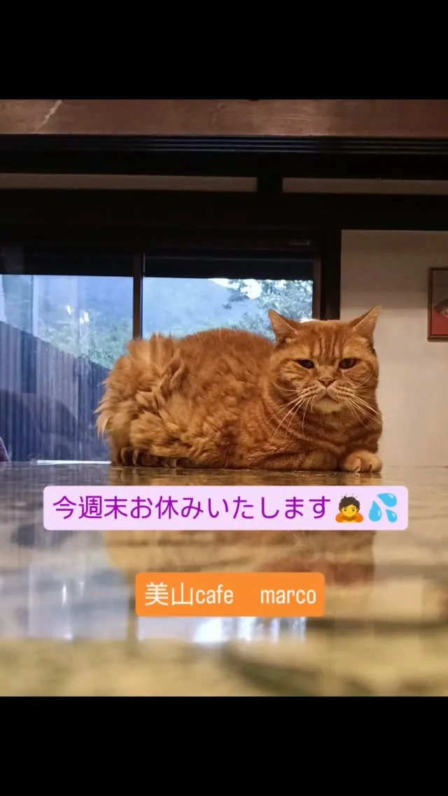 いつもありがとうございます。